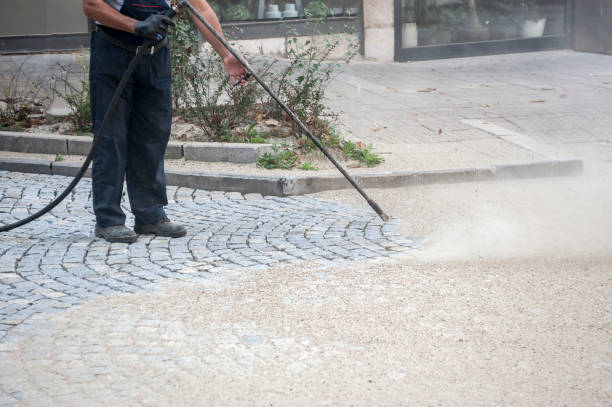 Best Boat and Dock Cleaning  in Danvers, IL