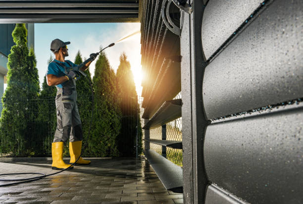 Best Rust Removal  in Danvers, IL